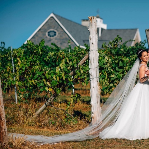 Pronovias Barcelona ballgown - Picture 5 of 8